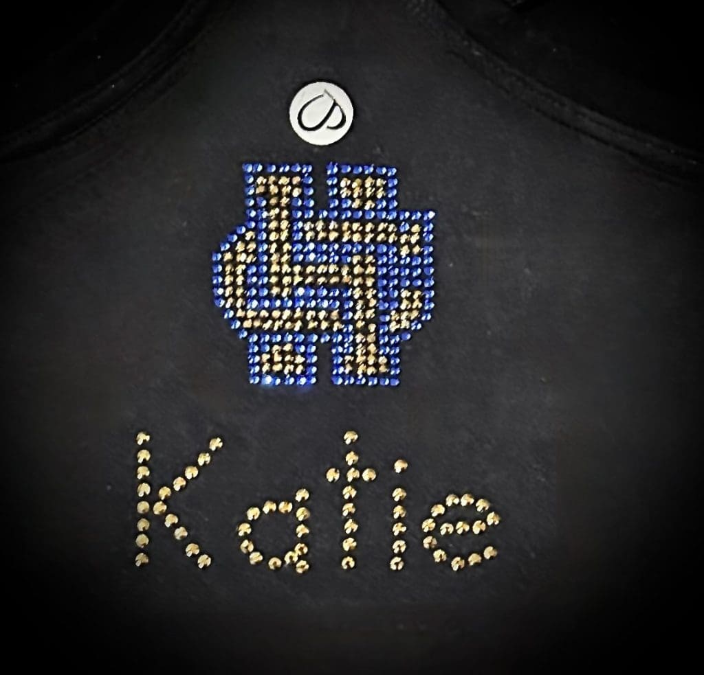 game day wear our services include custom designed dance team for heelan highschool with logo and names applied to the back